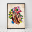 Laden Sie das Bild in den Galerie-Viewer, Heart anatomy poster