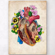 Laden Sie das Bild in den Galerie-Viewer, Heart anatomy
