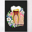 Load image into Gallery viewer, Tooth anatomy poster