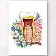 Laden Sie das Bild in den Galerie-Viewer, Tooth anatomy chart