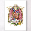 Load image into Gallery viewer, Lungs and heart anatomy