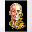 Laden Sie das Bild in den Galerie-Viewer, Facial muscles anatomy