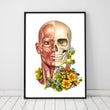 Laden Sie das Bild in den Galerie-Viewer, Face anatomy art