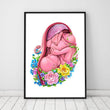 Load image into Gallery viewer, Fetus in a womb anatomy poster
