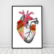 Load image into Gallery viewer, Anatomical heart poster