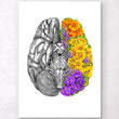Laden Sie das Bild in den Galerie-Viewer, Brain anatomy art