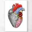 Laden Sie das Bild in den Galerie-Viewer, Heart anatomy with flowers