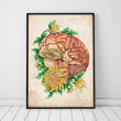 Load image into Gallery viewer, Vintage Brain anatomy poster