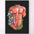 Charger l'image dans la galerie, Muscles anatomy