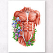 Laden Sie das Bild in den Galerie-Viewer, Torso muscles