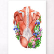 Charger l'image dans la galerie, Back muscles poster