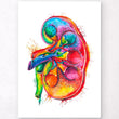 Load image into Gallery viewer, Left kidney anatomy art