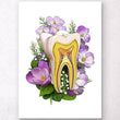 Charger l'image dans la galerie, Tooth anatomy art