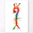 Charger l'image dans la galerie, Aorta anatomy