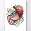 Laden Sie das Bild in den Galerie-Viewer, Anatomy of stomach poster