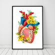 Load image into Gallery viewer, Anatomical heart poster