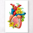 Load image into Gallery viewer, Heart anatomy art