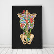Laden Sie das Bild in den Galerie-Viewer, Rib cage art poster