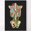 Laden Sie das Bild in den Galerie-Viewer, Rib cage with flowers