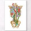 Laden Sie das Bild in den Galerie-Viewer, Thorax anatomy art