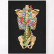 Load image into Gallery viewer, Back skeleton - Floral - Black