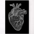 Laden Sie das Bild in den Galerie-Viewer, Heart anatomy poster