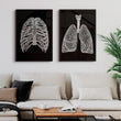 Laden Sie das Bild in den Galerie-Viewer, Ribcage anatomy poster