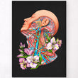 Charger l'image dans la galerie, neck blood vessels anatomy