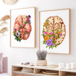 Laden Sie das Bild in den Galerie-Viewer, Brain anatomy poster