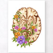 Laden Sie das Bild in den Galerie-Viewer, Brain anatomy poster
