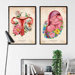 Load image into Gallery viewer, Uterus anatomy - Floral - Vintage