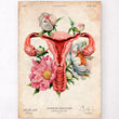 Load image into Gallery viewer, Uterus anatomy poster