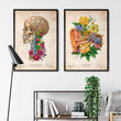 Laden Sie das Bild in den Galerie-Viewer, Anatomy poster
