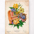 Laden Sie das Bild in den Galerie-Viewer, Ear anatomy art