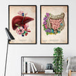 Load image into Gallery viewer, Digestive system anatomy art