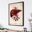 Load image into Gallery viewer, Liver anatomy print