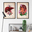 Load image into Gallery viewer, Kidney and liver anatomy