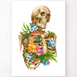 Load image into Gallery viewer, Skeleton anatomy poster
