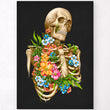 Load image into Gallery viewer, Skeleton anatomy poster