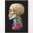 Load image into Gallery viewer, Skull anatomy art