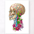Load image into Gallery viewer, Skull with flowers art print
