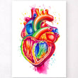 Charger l'image dans la galerie, Dissected heart anatomy
