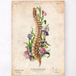 Charger l'image dans la galerie, Spine anatomy poster