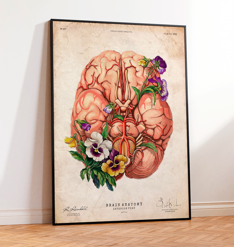 Flower Mind Design Vintage Anatomy, 147 years old Vintage book