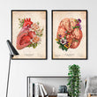 Laden Sie das Bild in den Galerie-Viewer, Gehirn Anatomie - Blumen - Altes Papier