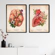 Laden Sie das Bild in den Galerie-Viewer, Anatomy art