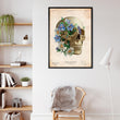 Load image into Gallery viewer, Skull anatomy poster
