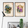 Load image into Gallery viewer, Skull anatomy - Floral - Vintage