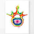 Charger l'image dans la galerie, Lumbar vertebrae anatomy