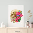Load image into Gallery viewer, Skull anatomy - lateral view poster